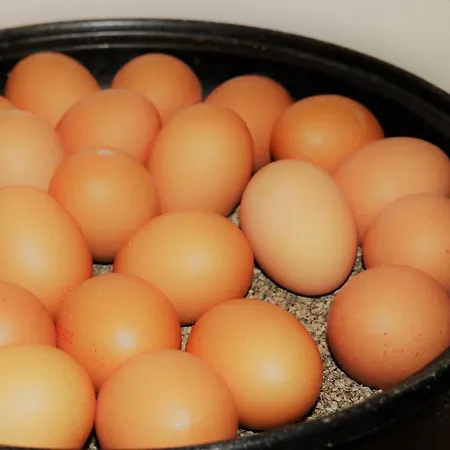 Scope Airport ホテル