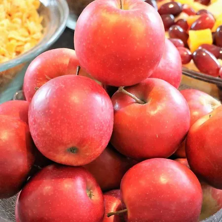 Otel Scope Airport 3*